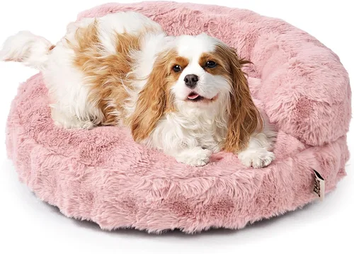 Vista 19 de EHEYCIGA Sofá cama suave para gatos de interior, cama extra pequeña esponjosa para perros con funda extraíble lavable, sofá para mascotas, Camello