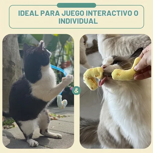 Vista 6 de Juego de Juguetes Interactivos para Gatos, Palitos Masticables de Silvervine y Juguete de Resorte para Gatos, Juguetes de Hierba Gatera