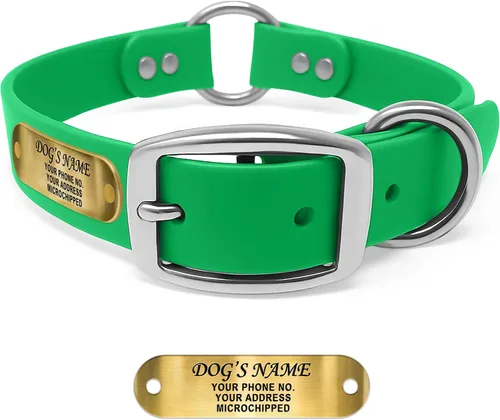 Vista 17 de Regal Dog Products Collar de Perro Naranja Mediano con Placa de Nombre Grabada Personalizada - Ajuste Personalizado, Resistente, Fácil de Limpiar