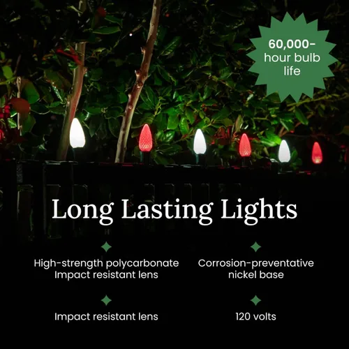 Vista 7 de Pro Christmas - Kit de luces C9 para exteriores, blanco cálido, cable verde, 50 bombillas, 50 pies