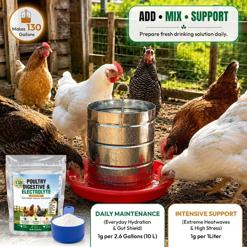 Vista 6 de Chicken Electrolytes & Supplement for Water, Natual Antibiotic for Chickens