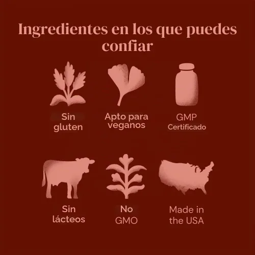 Vista 5 de Ameo Life Probiótico para la salud digestiva e intestinal – Bacillus Subtilis & Bacillus coagulans con aloe vera, cúrcuma, psyllium, olmo