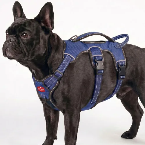 Vista 24 de Tuff Pupper Arnés para perro sin escape a prueba de escape, arnés ajustable de 5 puntos para perros, arneses acolchados para perros, arneses