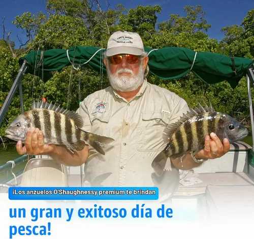 Vista 9 de AGOOL 34007 O'shaughnessy - Gancho de pesca para agua salada y agua dulce (acero inoxidable, forjado, mango largo)