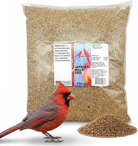 Vista 49 de Semillas de cáñamo Morning Bird, 4.5 lb