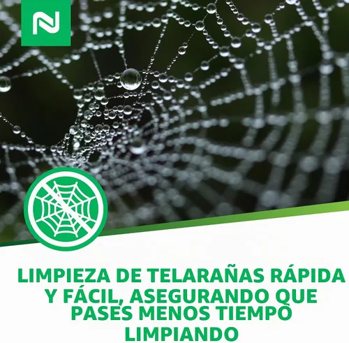 Vista 9 de Out Web eliminador de telarañas