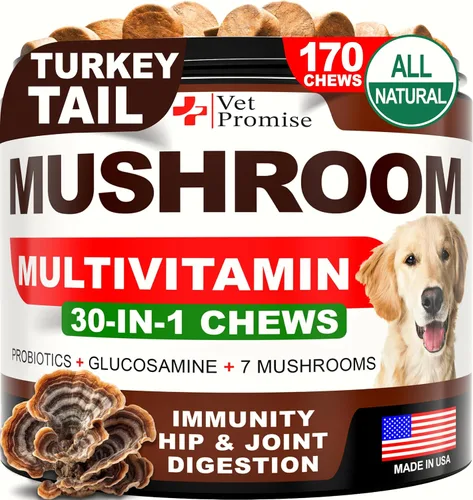 Vista 7 de Paquete de 2 hongos de cola de pavo para perros, 340 masticables, hongo Ámbar