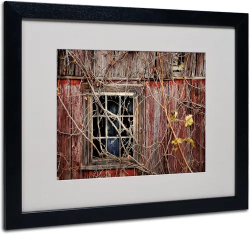 Vista 7 de Trademark Fine Art Lois Bryan - Arte enmarcado con marco negro, 11 x 14 pulgadas