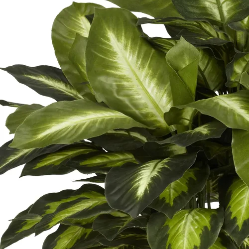 Vista 5 de Nearly Natural 6639 - Planta de Seda Dieffenbachia Dorada de 24 Pulgadas, Verde