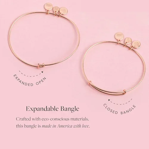 Vista 3 de Alex and ANI Brazalete extensible con piedras natales para mujer dije de cristal de amatista del mes de febrero acabado dorado brillante 2 a 35