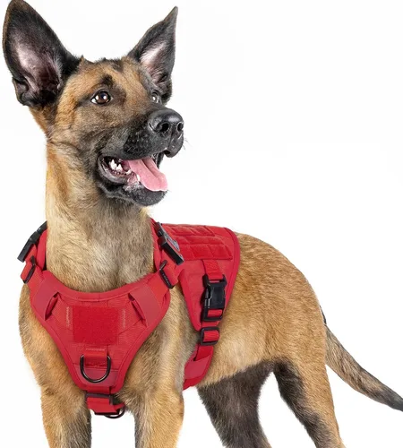 Vista 32 de rabbitgoo - Arnés táctico para perros pequeños, arnés resistente para mascotas con asa, chaleco de servicio sin tirones para razas pequeñas, chaleco
