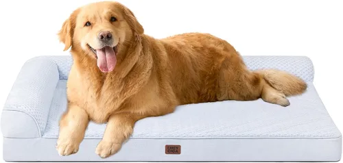 Vista 71 de EHEYCIGA - Cama ortopédica para perros de tamaño mediano, cama de espuma viscoelástica para perros, color beige Small Dog Sofa with Washable