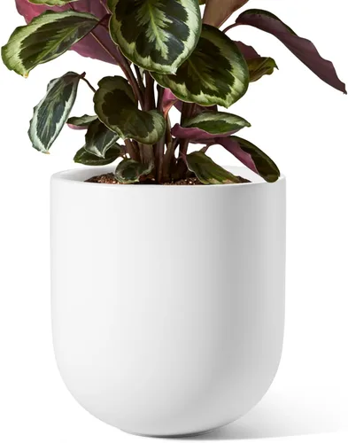 Vista 10 de LE TAUCI Maceta para plantas de 10 pulgadas, macetas de cerámica para plantas con orificio de drenaje y tapón de goma, macetas para plantas