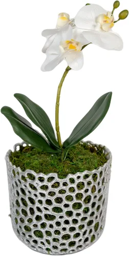 Vista 3 de Maceta cilíndrica de malla para orquídeas, maceta de orquídea, maceta de orquídea, maceta de orquídeas, maceta para plantas de aire, maceta