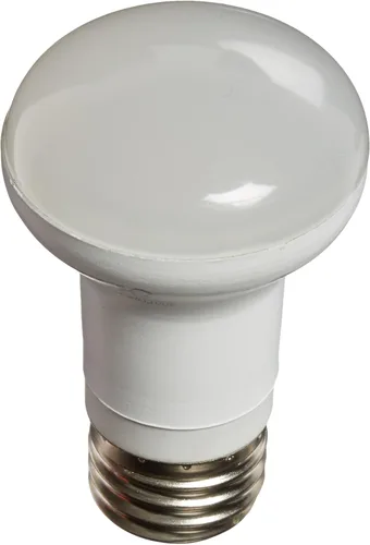 Vista 2 de Feit PAR38/G/LEDG5 - Reflector LED verde PAR38