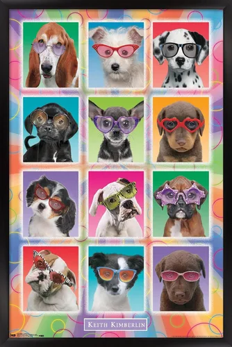 Vista 8 de Trends International Keith Kimberlin - Póster de pared con diseño de cachorros, gafas de sol, 14.725 x 22.375 pulgadas, versión enmarcada de madera