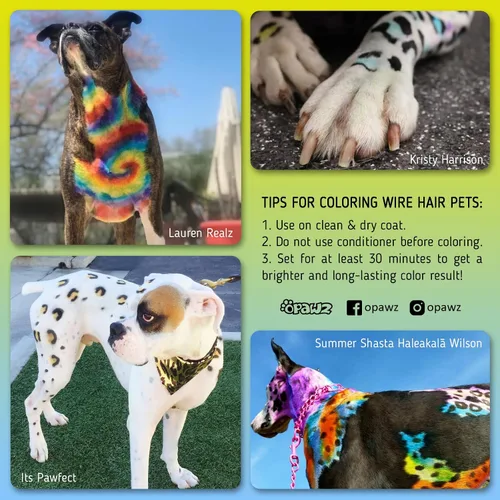 Vista 5 de OPAWZ Tinte permanente para el pelo de los perros, tinte para el pelo de las mascotas utilizado de forma segura por salones de aseo durante una