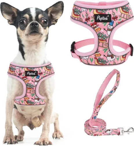 Vista 58 de PUPTECK Juego de arnés y correa de malla suave para perro, cachorro y gato, cómodo chaleco acolchado sin tirones, azul Pascua, S