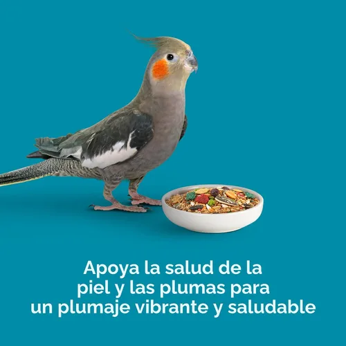 Vista 8 de Comida saludable para pájaros Kaytee Forti Diet Pro, para periquitos, Pastel de cumpleaños