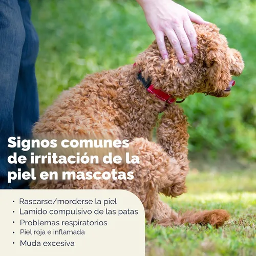 Vista 5 de Vetnique Dermabliss Champú medicado para gatos y perros, clorhexidina
