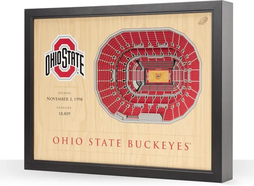 Vista 53 de YouTheFan NCAA Arte de Pared StadiumView de 25 Capas