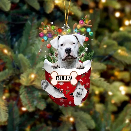 Vista 96 de IZI POD Affenpinscher Adorno de Navidad personalizado para perro, adorno de bolsillo de nieve para perro para árbol de Navidad, adorno acrílico