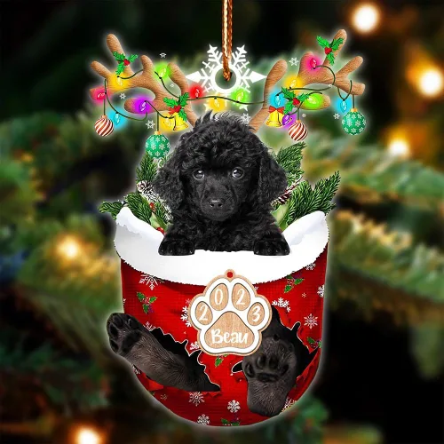 Vista 26 de NAZENTI Adorno Navideño de Bolsillo Personalizado de Affenpinscher en la Nieve, Adorno de Forma Acrílica de Perro, Adorno de Navidad 2023, Adorno