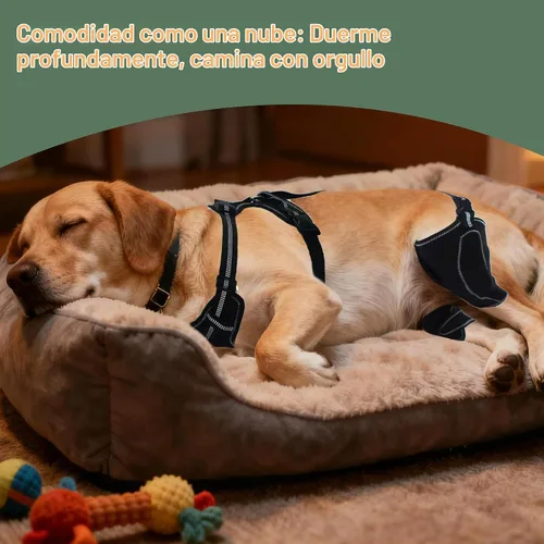 Vista 7 de Rodillera para perro para desgarro ACL/CCL – Soporte ajustable para patas traseras con arnés antideslizante y férula interior, soporte