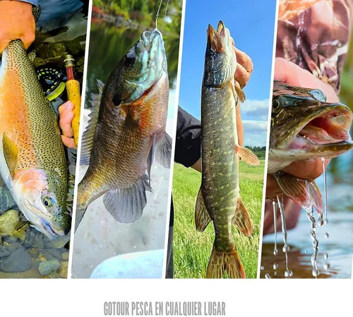 Vista 7 de GOTOUR Pre-Rigged Soft Fishing Lures with Weedless Hook, Lifelike Paddle Tail Swimbaits for Bass Fishing, Freshwater & Saltwater Fishing Bait