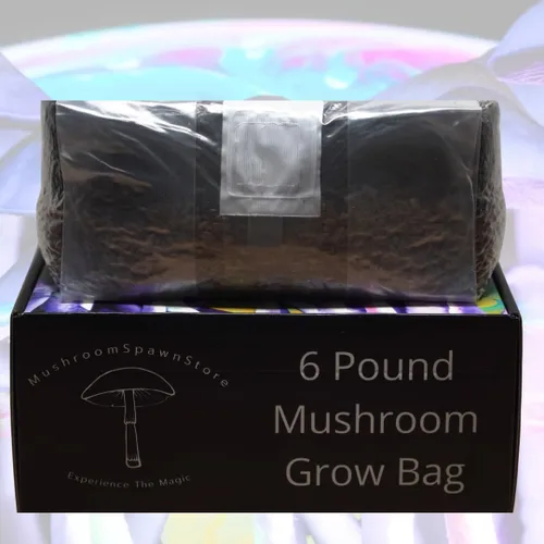Vista 4 de Bolsa de cultivo de hongos de 6 libras, kit de cultivo todo en uno en una bolsa, desbroce de grano esterilizado y sustrato a granel, puerto