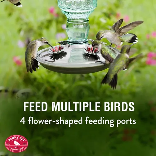 Vista 2 de Perky-Pet 8108-1SR - Comedero de vidrio para colibríes para exteriores, estilo botella antigua, comederos para colibríes de 10 onzas para decoración