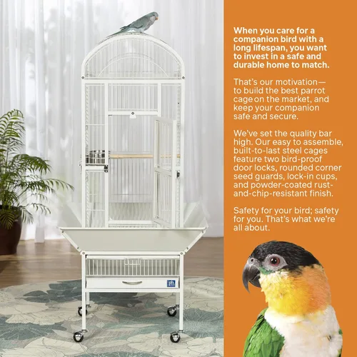 Vista 5 de Prevue Pet Products 34512 Dometop - Jaula para pájaros, pequeña, color blanco tiza