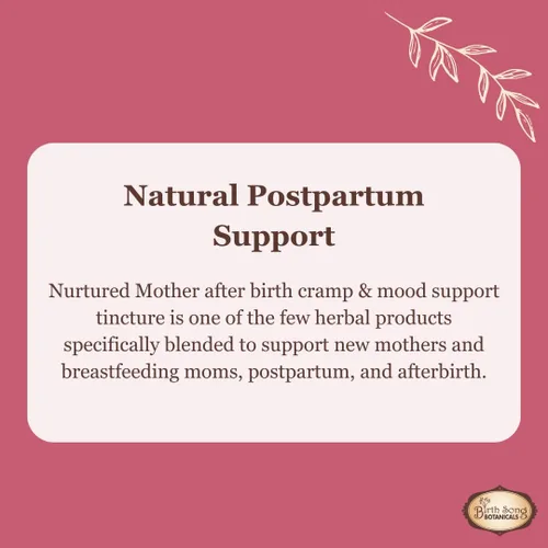 Vista 3 de Birth Song Botanicals Nutrida madre posparto esencial y suplemento de apoyo, tintura de hierbas después del parto para nuevas mamás después