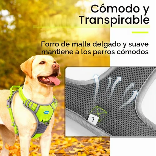 Vista 3 de ThinkPet Juego de arnés deportivo sin tirones, arnés deportivo transpirable con asa, chaleco de seguridad acolchado reflectante para perro