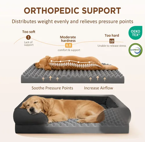 Vista 2 de Comfort Expression - Cama ortopédica para perros medianos, 28 x 19 pulgadas, cama impermeable y de apoyo de espuma con cojines removibles, sofá