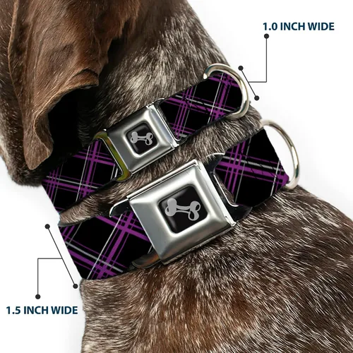 Vista 2 de Buckle-Down Collar de perro con hebilla para cinturón de seguridad, a cuadros, negro, morado, gris, 1 pulgada de ancho, se adapta a cuello de 9 a 15