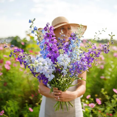 Vista 7 de Eden Brothers Semillas Delphinium - Campana Azul