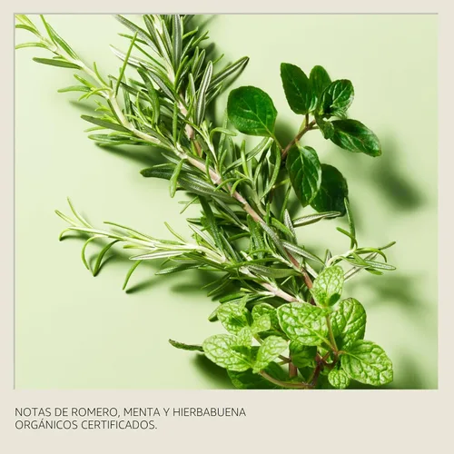 Vista 13 de Aveda Rosemary Mint Purifying Shampoo Clarifying Shampoo Gently Removes Buildup, Adds Shine For Normal to Oily Hair, Fine to Medium Hair Types