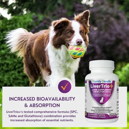 Vista 7 de Suplemento integral de apoyo hepático para perros más pequeños. Tabletas masticables sabrosas que combinan las mismas, SPC, silybin A+B, + glutatión