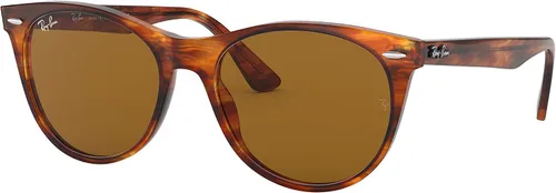 Vista 12 de Ray-Ban Gafas de sol redondas fotocromáticas Wayfarer Ii Evolve RB2185 para hombre Negro/G-15 Verde