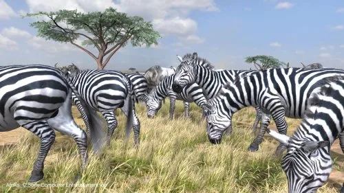 Vista 4 de Afrika - Playstation 3