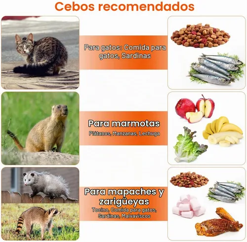 Vista 7 de Trampa de animales vivos plegable jaula humana trampa atrapa