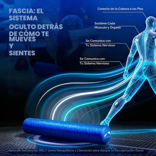Vista 8 de MELT Method Rodillo de Espuma Suave de 36 Pulgadas para Terapia Física y Recuperación de Ejercicios - Tecnología FasciaTherapy - Rodillo de Espuma