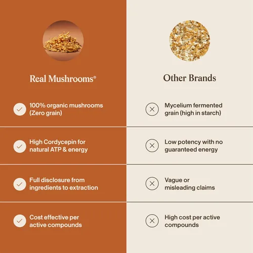Vista 6 de Real Mushrooms Polvo de Hongos Cordyceps - Polvo de Cordyceps Orgánico Apoyo para Energía y Bienestar de Hongos - Rico en Beta Glucanos - Suplemento