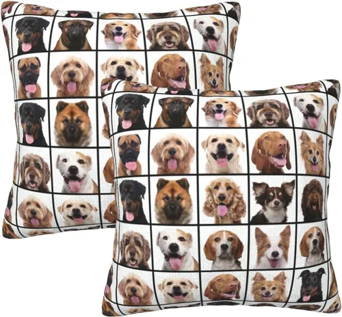 Vista 19 de Fiokroo Juego de 2 fundas de almohada de leopardo negro, fundas de almohada cuadradas para sofá, dormitorio, sala de estar, automóvil, 20 x 20