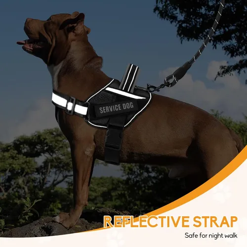 Vista 6 de Juego de Chaleco y Correa para Perro de Servicio, Arnés de Entrenamiento Animire para Perro con 10 Parches para Perros, Correa Reflectante