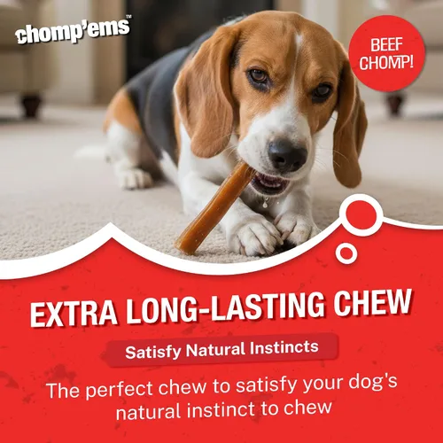 Vista 5 de Chomp'ems - Palitos de carne de res natural de larga duración, masticables