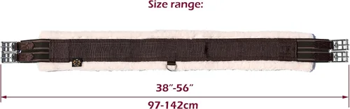 Vista 8 de T TEKE Contornos diarios en inglés para caballos: Acolchado con forro polar, elástico de doble cara resistente y hebillas de acero inoxidable