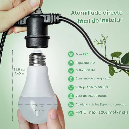 Vista 3 de Briignite - Luz colgante de crecimiento, 3 bombillas de crecimiento con cable de alimentación de 8.86 pies Cálido - Cadena de luces