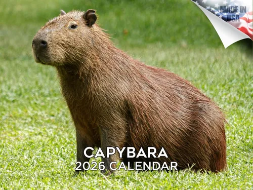 Vista 224 de Calendario de grises africanos 2025 2026 – Planificador mensual de pared de aves africanas – 12 x 18 pulgadas (abierto), calendario de pared